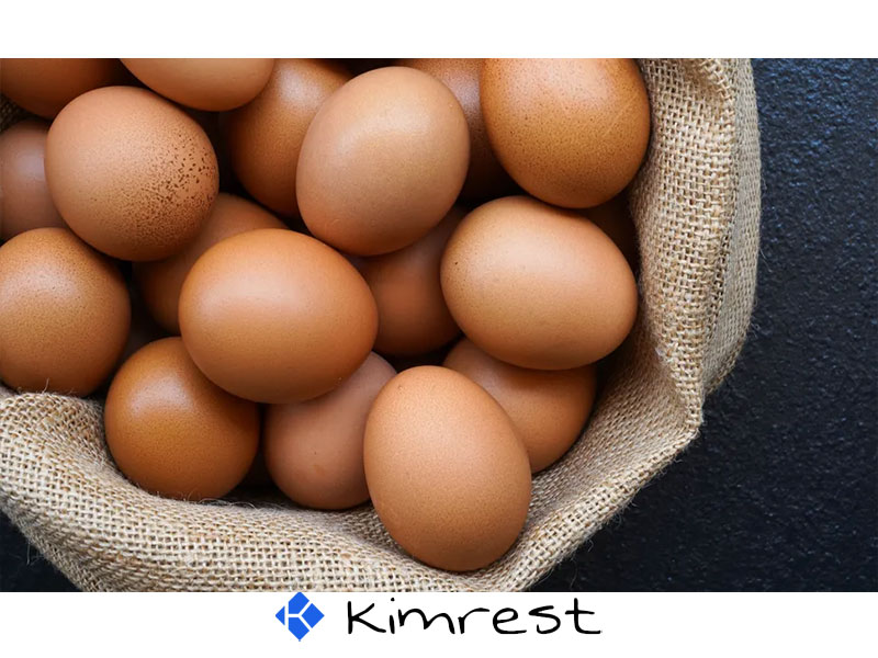 1042-نگهداری تخم مرغ در یخچال-kimrest.com